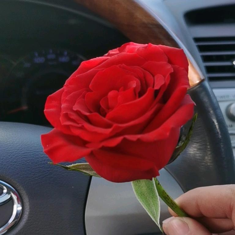 ꧁꫞街留子꫞꧂