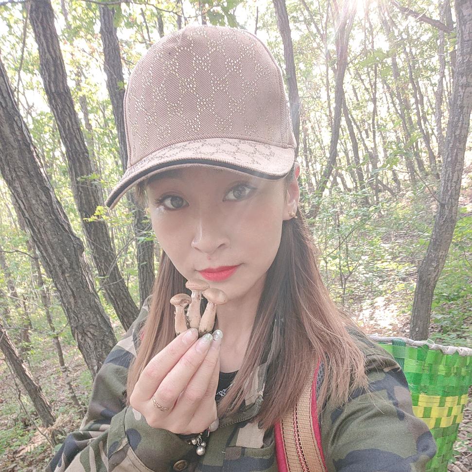 津苗——茸信东北山产品