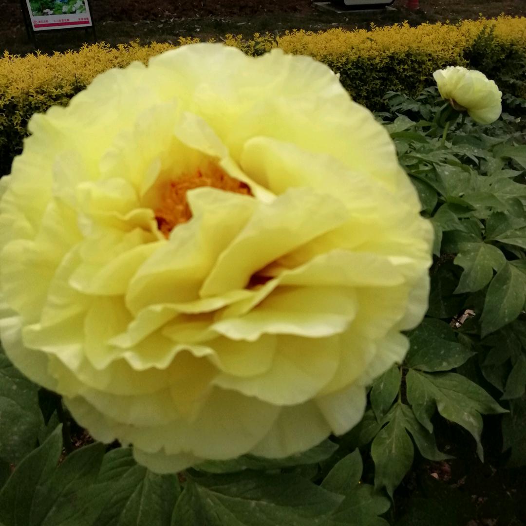 陈姐（拒私聊）