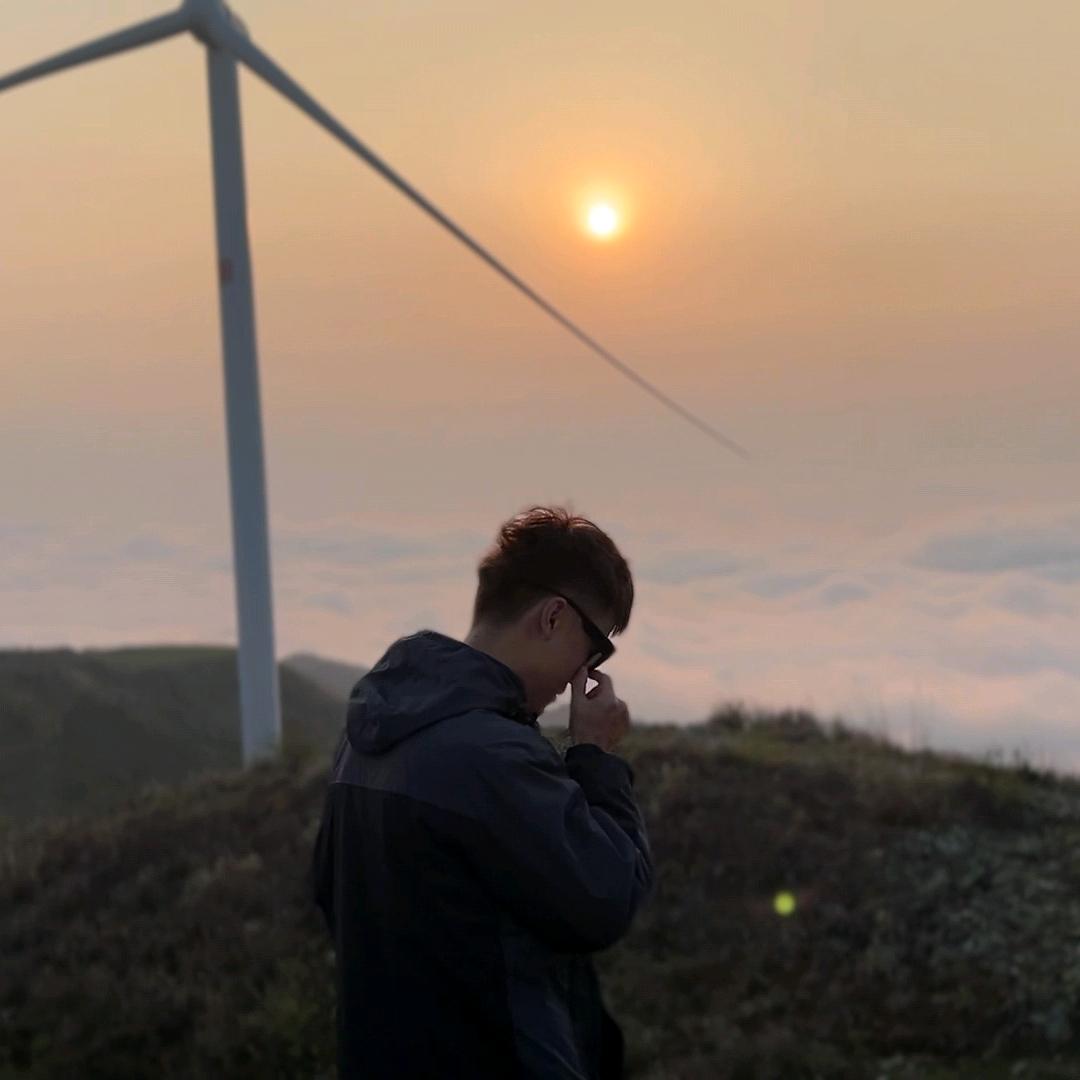 山鸟与喻不同路