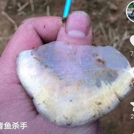 东江游钓--小邓