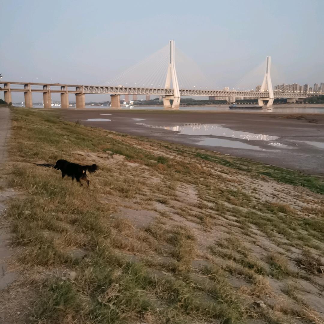 波罗