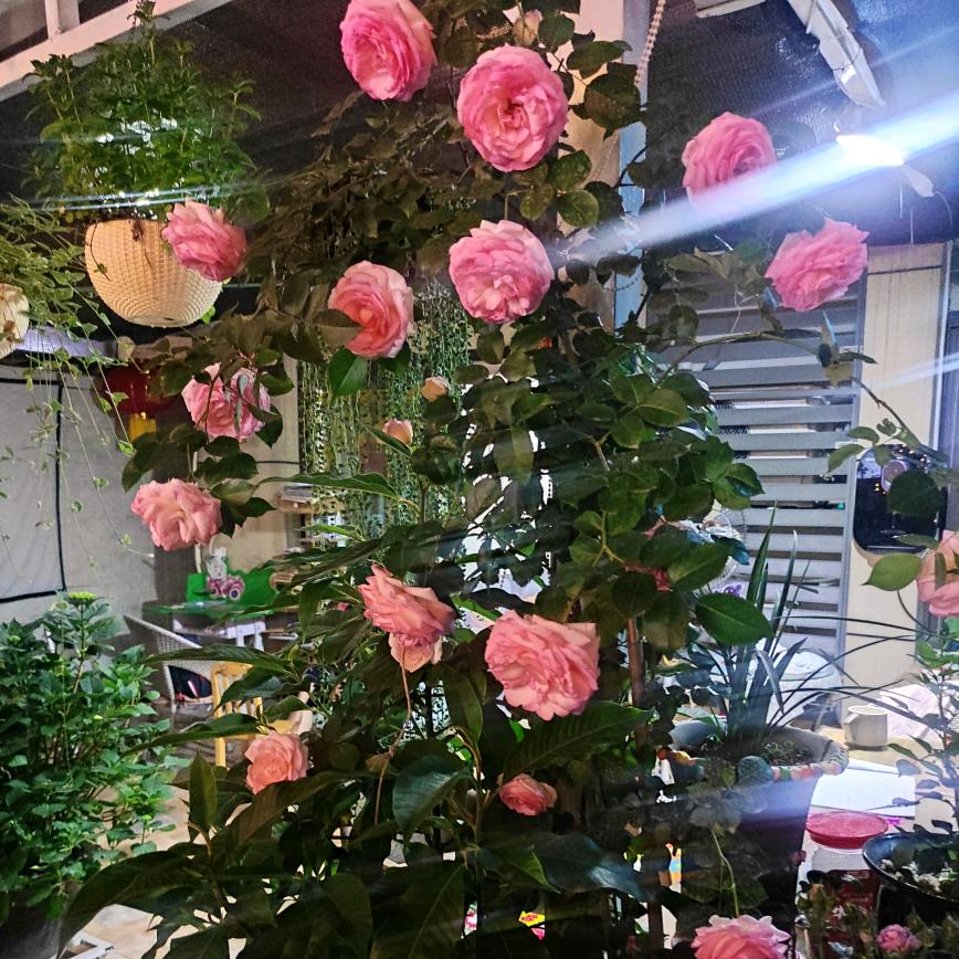 木子的幸福时光💕