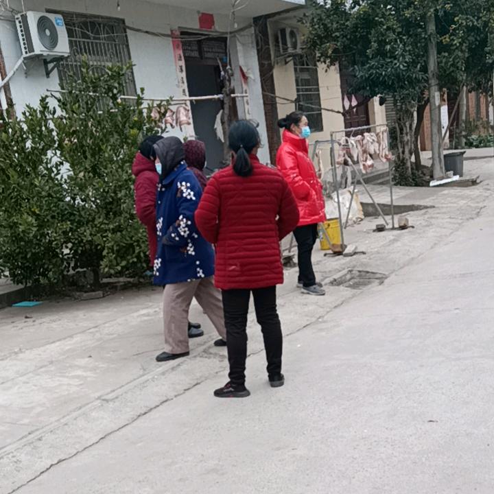 鑫鑫