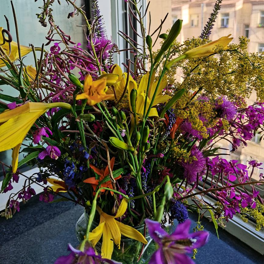 落叶知秋🍂🍂