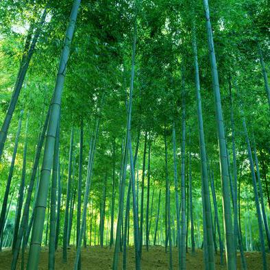 山里郎