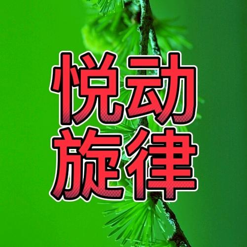 悦动旋律
