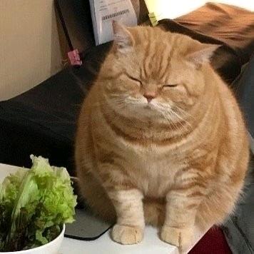 毛不E