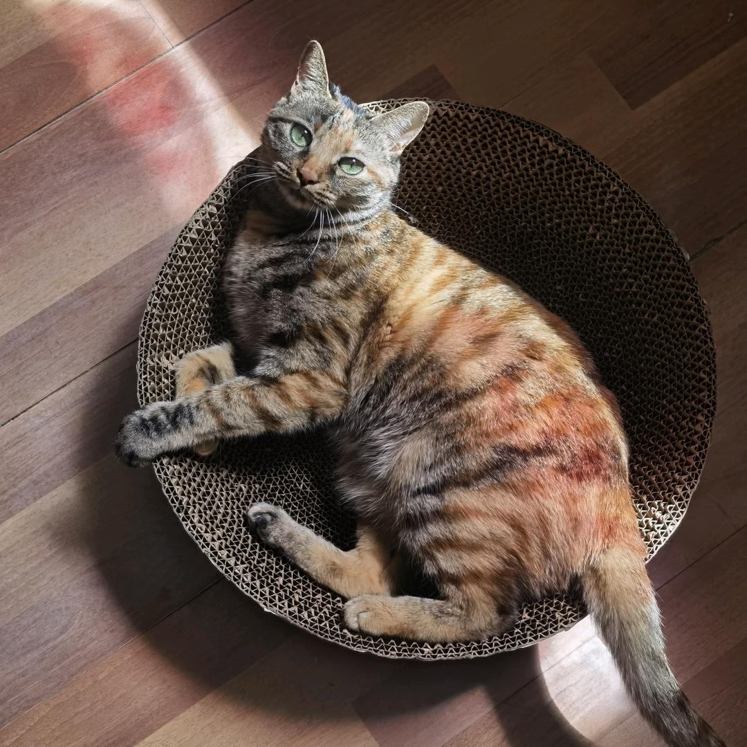 FL（明峰管业）