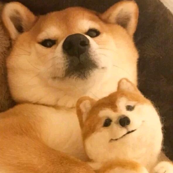 我似乎叫姜佳琪？？？