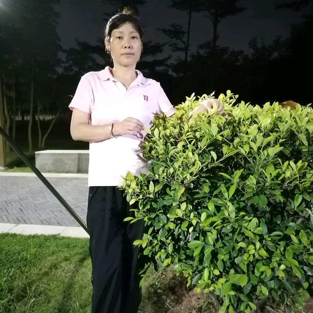 用户9517806999790