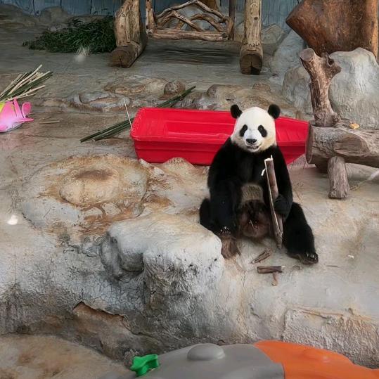 今天还是有点困啊头像