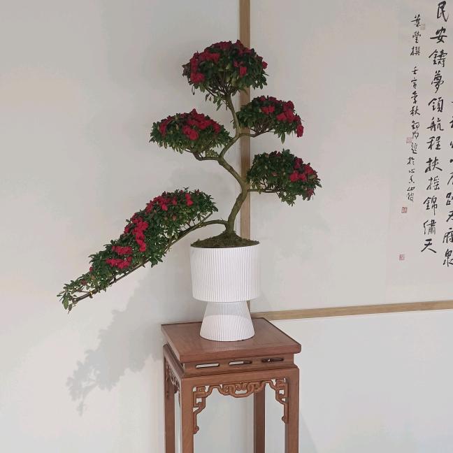 七曜水电