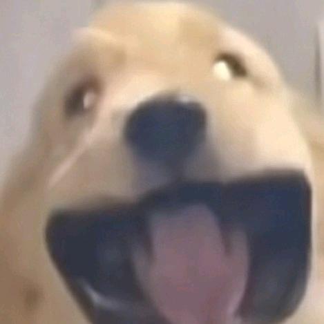 发光的都是灯泡