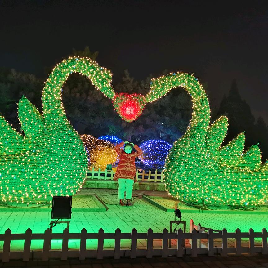 大海里面紫色兔