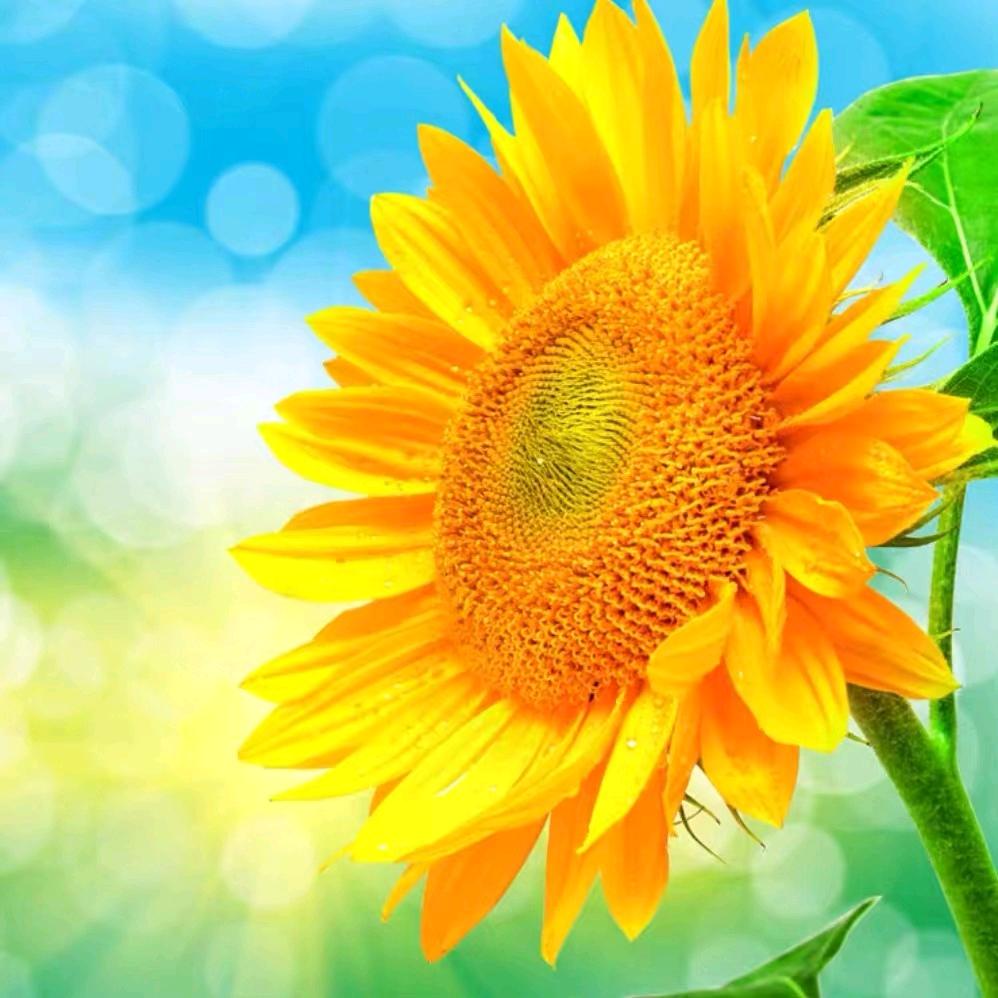 医路相伴👉1314