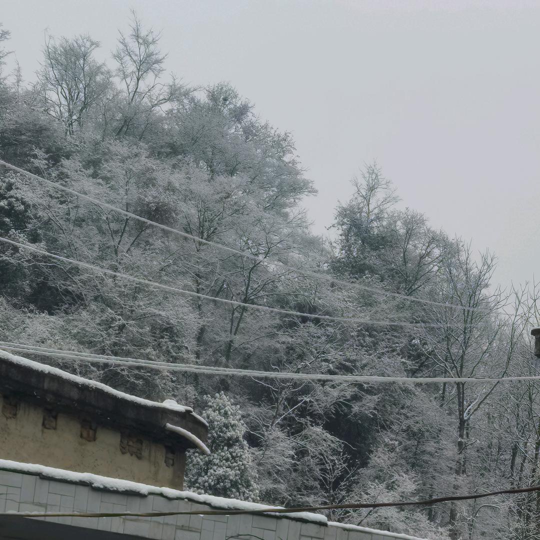 阿妹