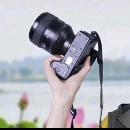 晓莉