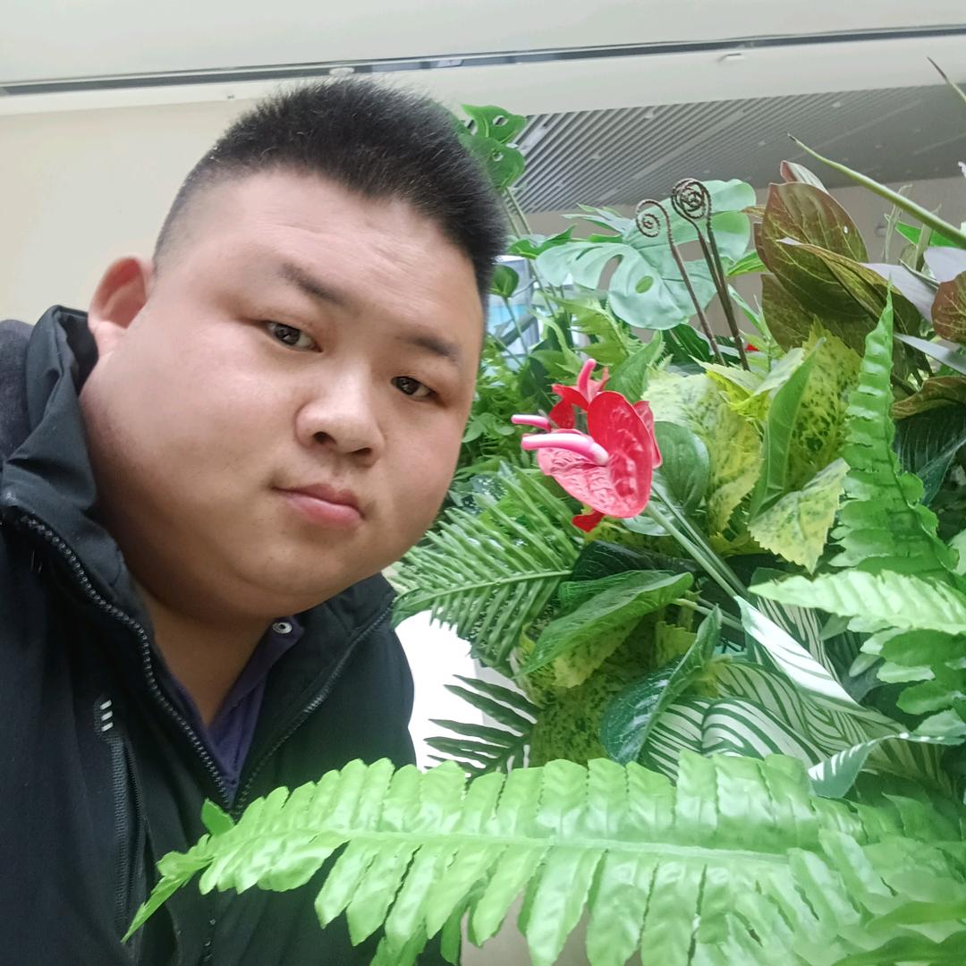 雪山飞狼不定时直播