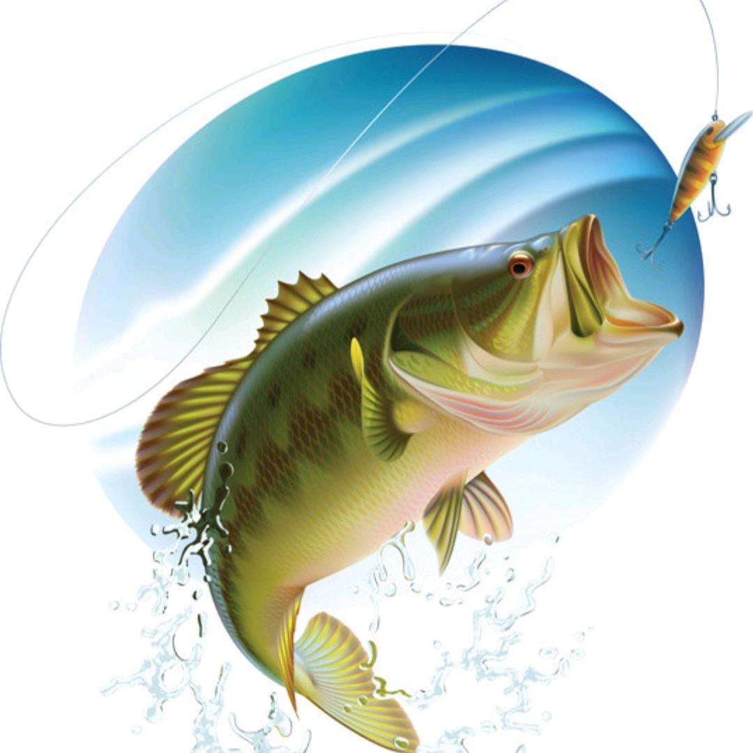 鱼乐技巧🐟
