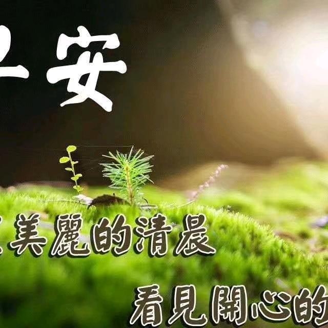 我爱我家