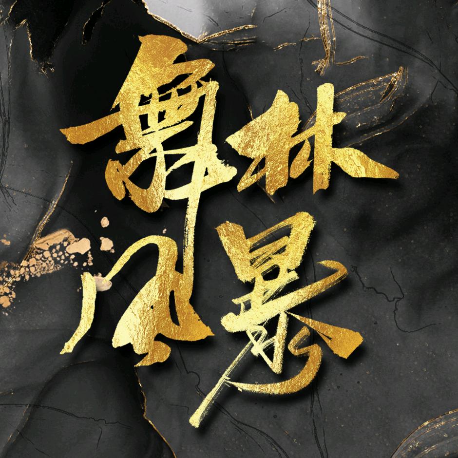 舞林风暴组委会
