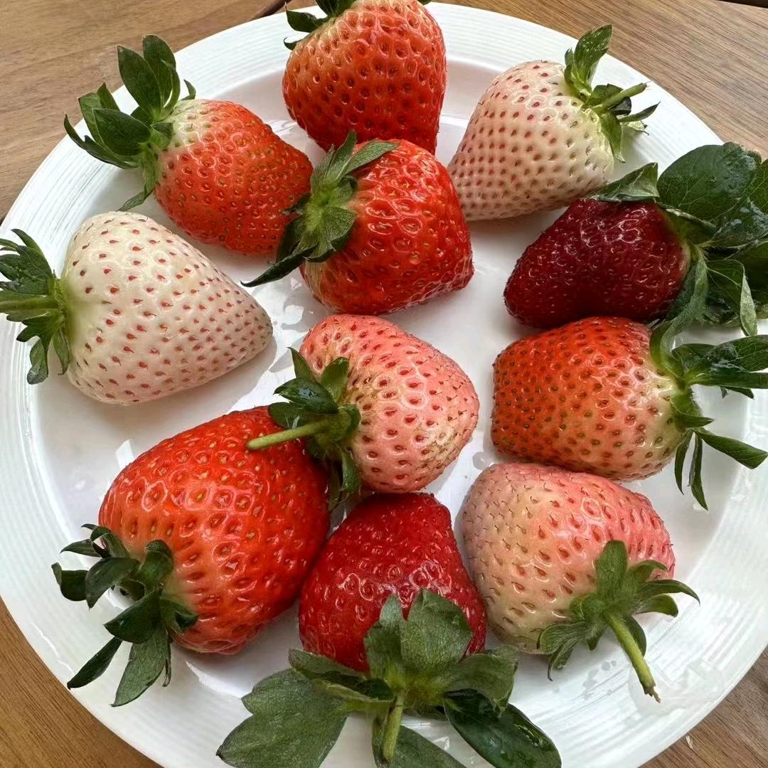 百果园明胜湖景花园店