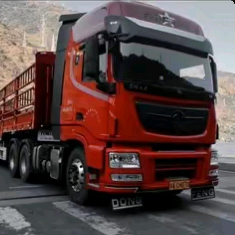 𝐍𝐙𝐁𝐙—𝐙 跃🚦