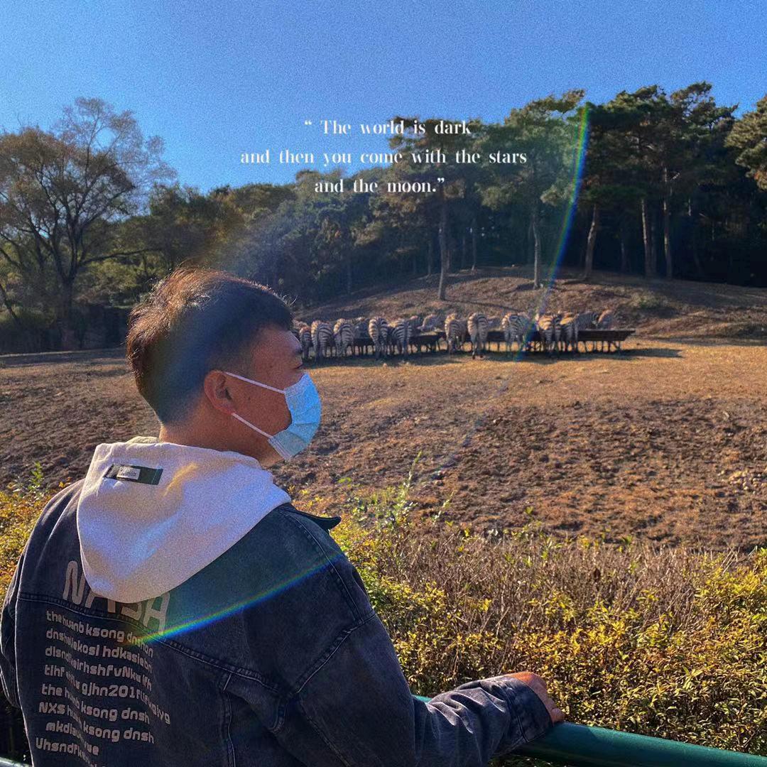 阿🐝峰炸串（康平油炸）