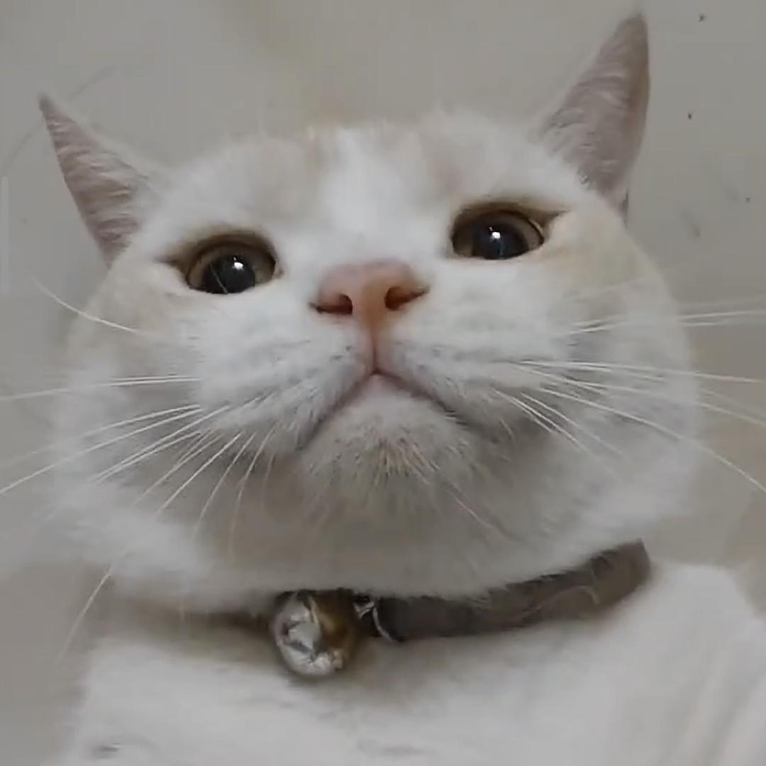 火华烨