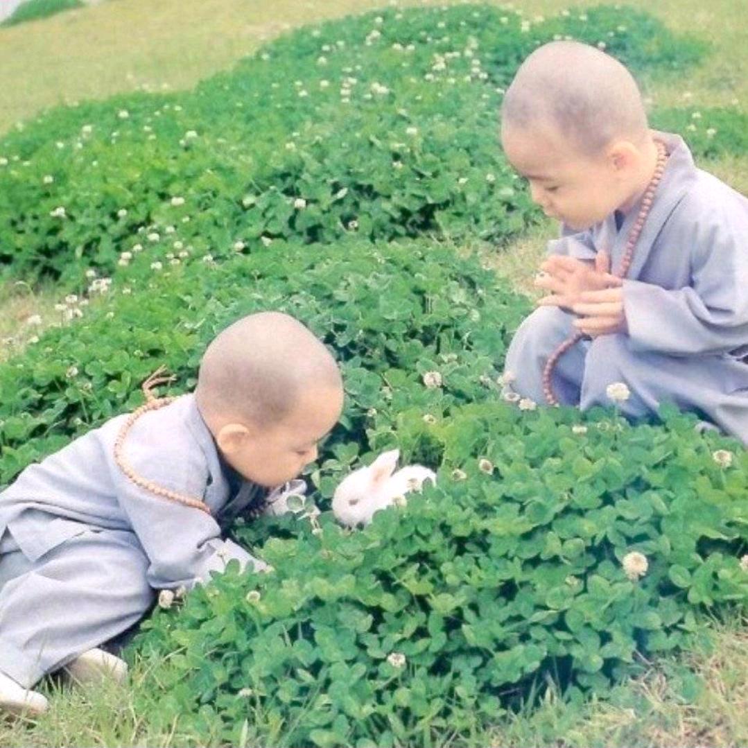 爱心❤一片