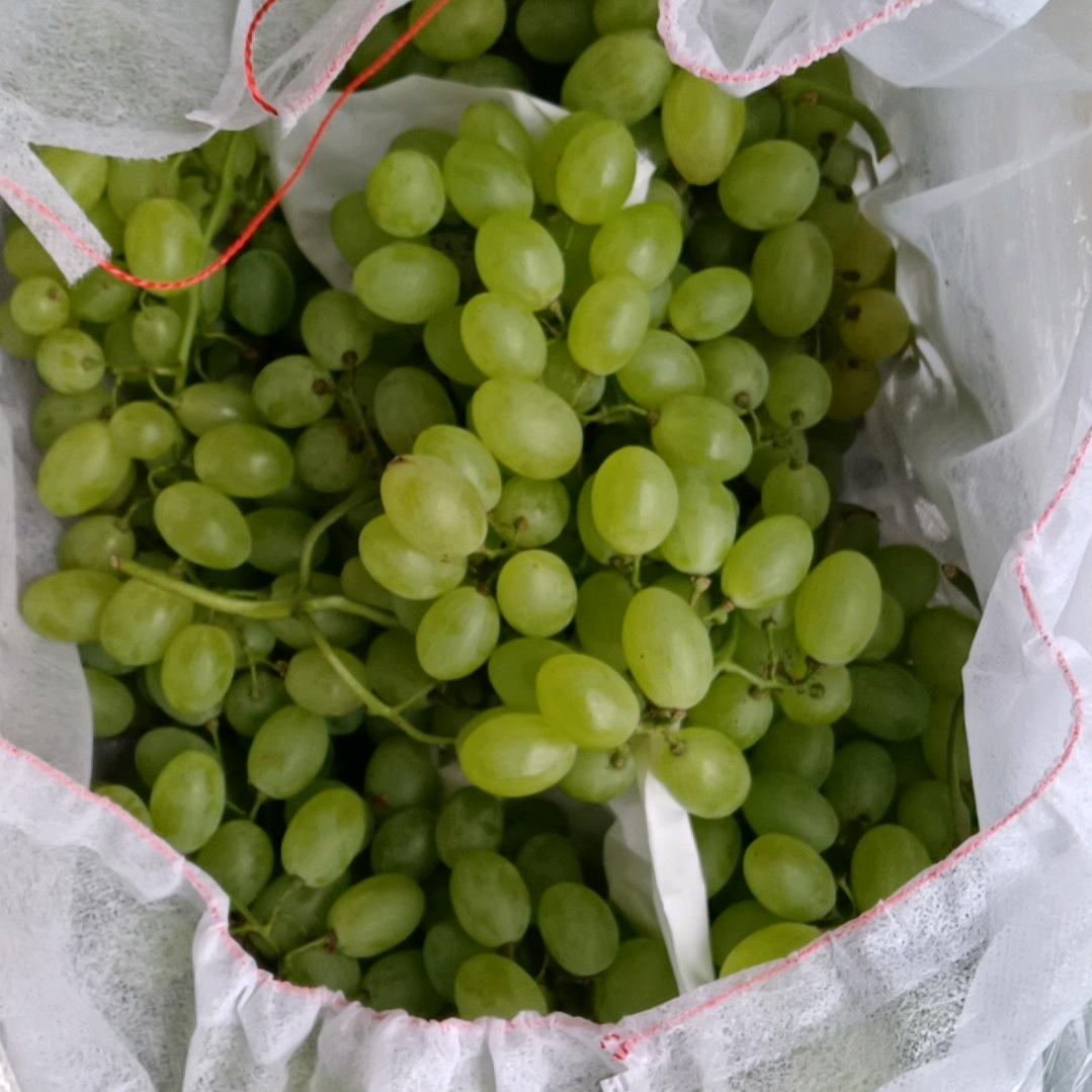我爱清风