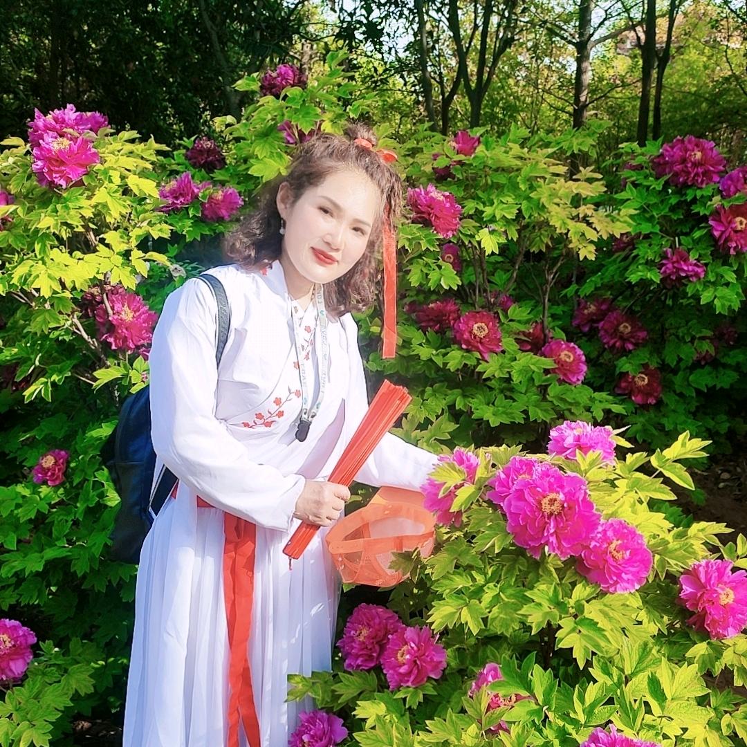 🍀明月清风🍀