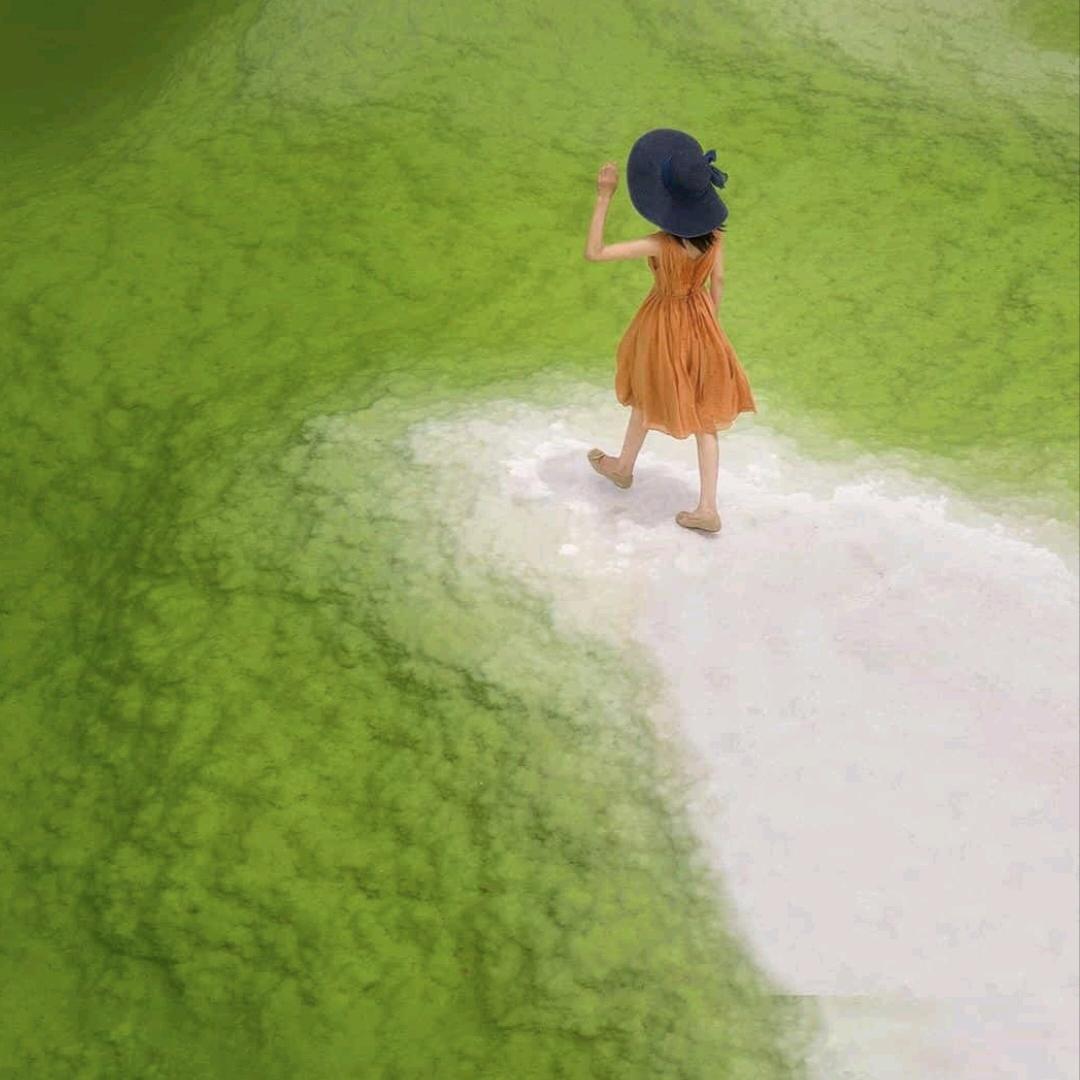 筱狐狸