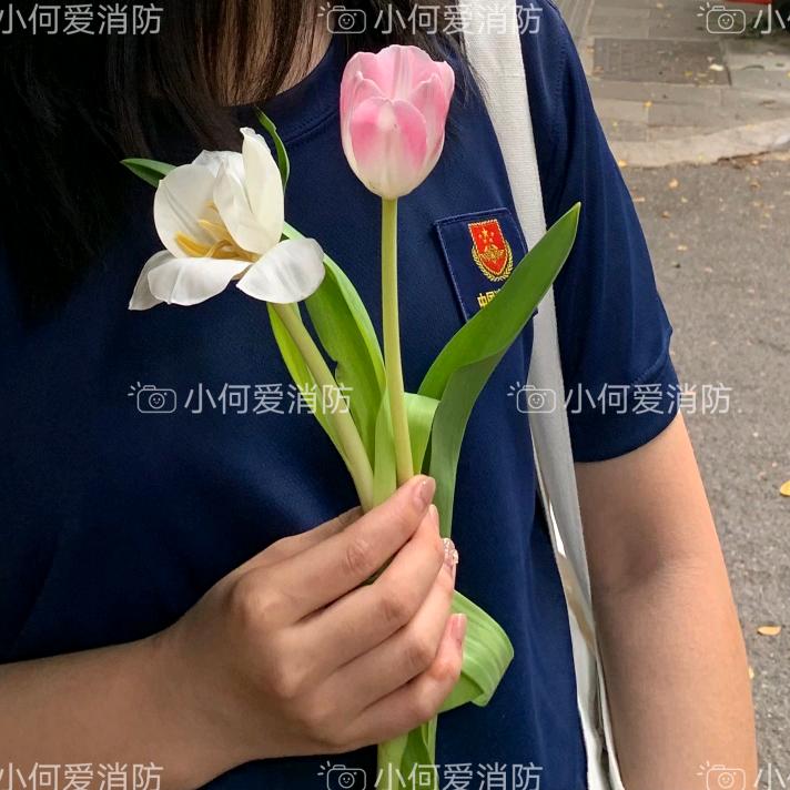 陪我长大（消粉🚒）