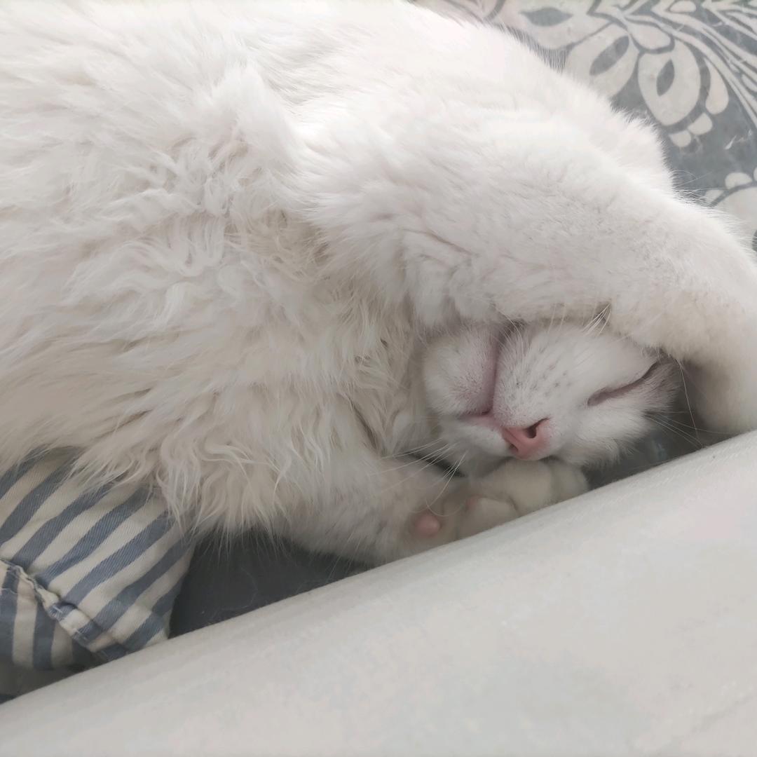 🌈从一岁就很帅