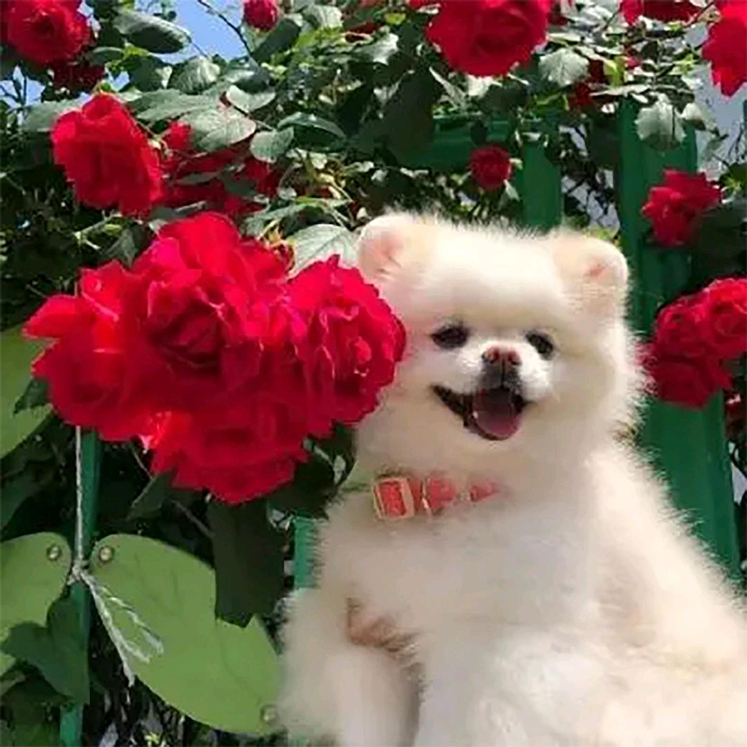 爱看综艺的人运气不会太差