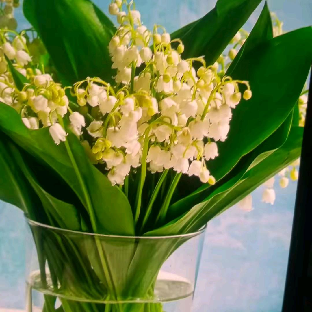 过着平凡的人生，努力赚钱把自己照顾好