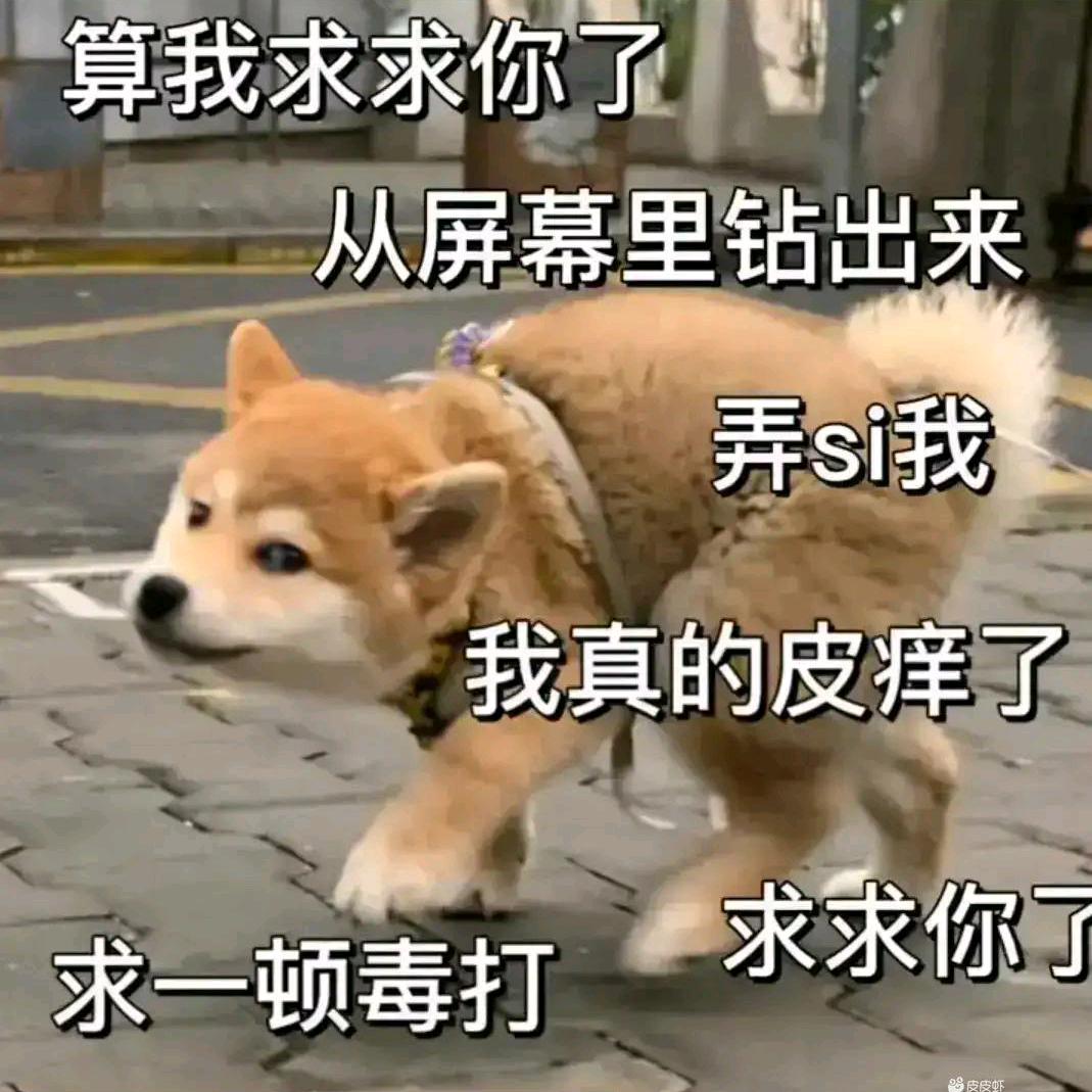摇尾巴的狼