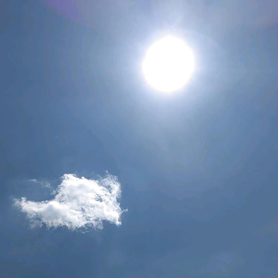 帕秋挖