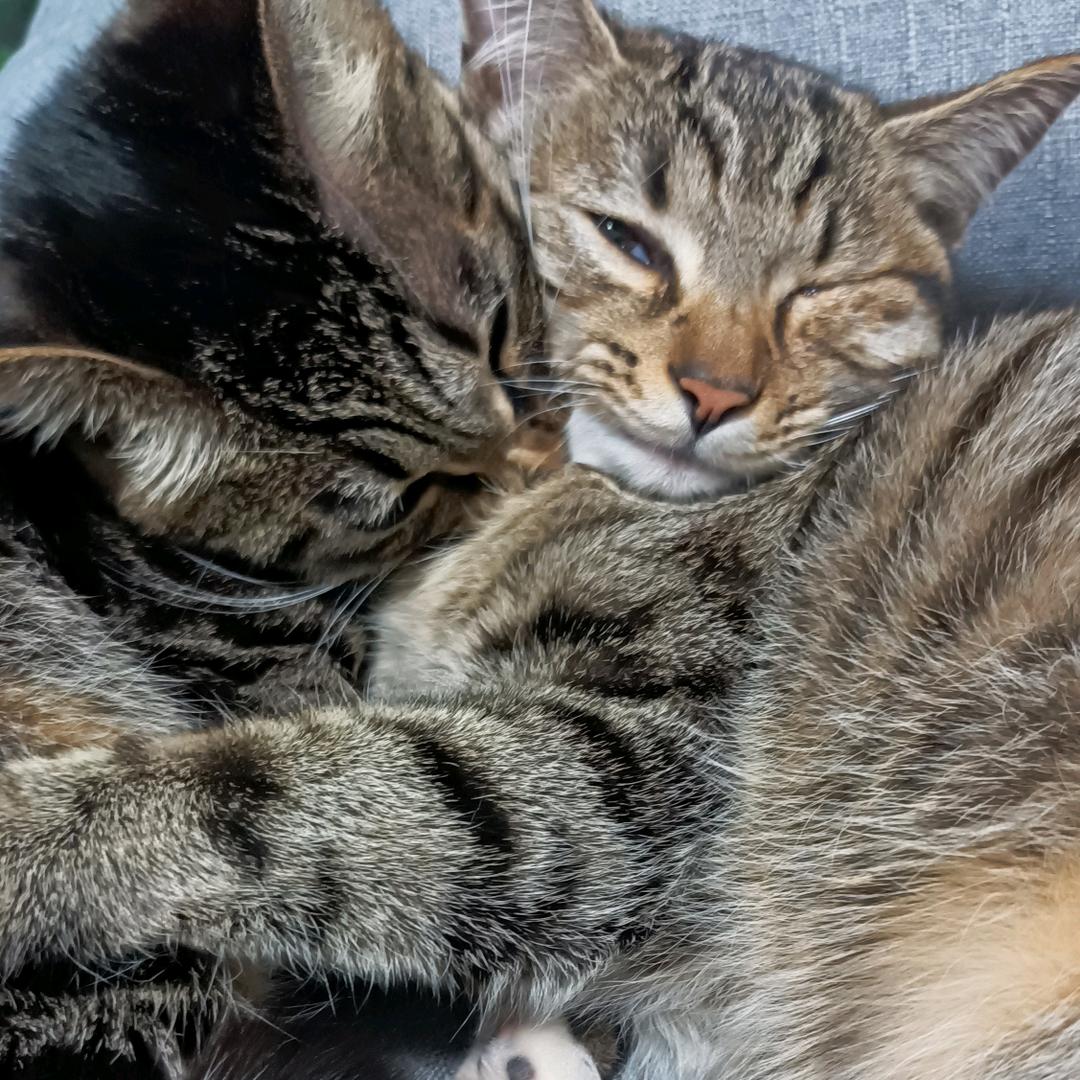 🌈🌈吴理🌈🌈