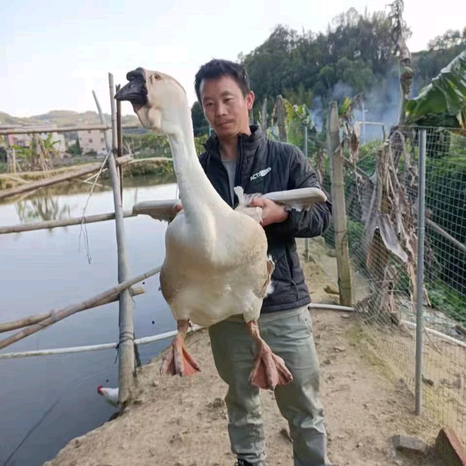 岷欣农场