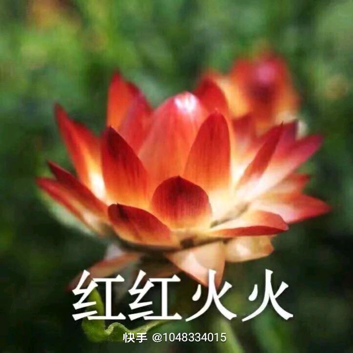 默默看着你