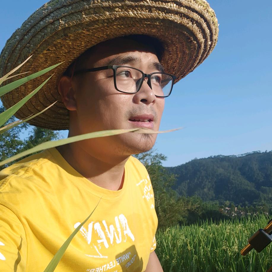 广东申仔