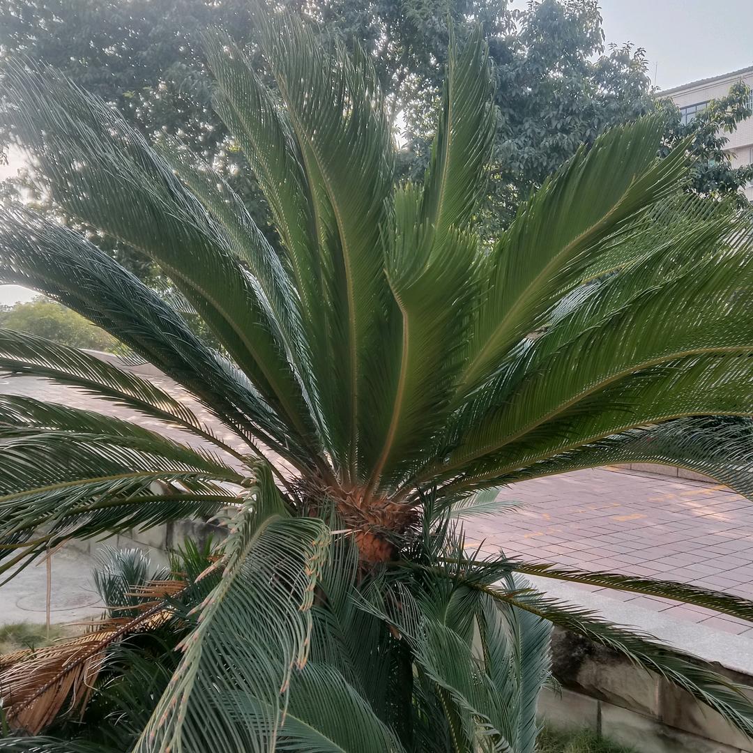 用户3724757508960春暖花开