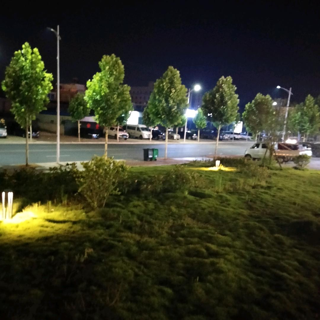 再见只是一路陌生人