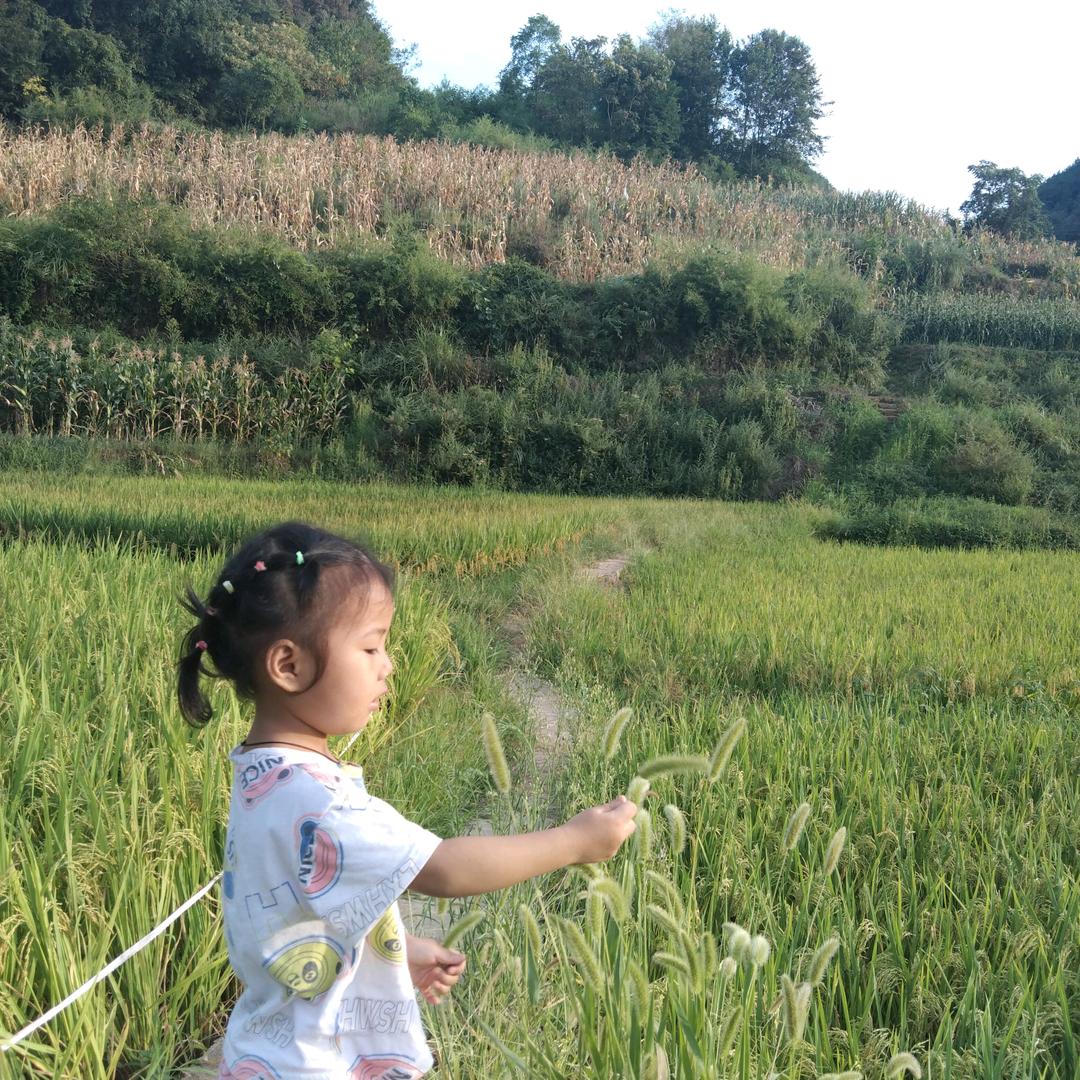 小语吖