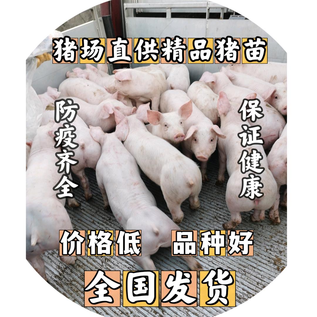潍坊鲁日农牧有限公司