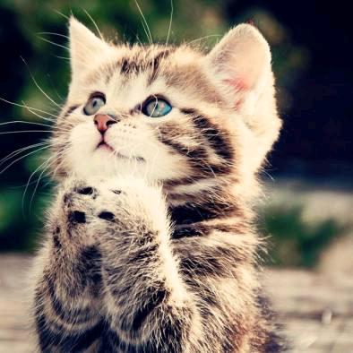 明天会更好，加油哦🙏🙏🙏