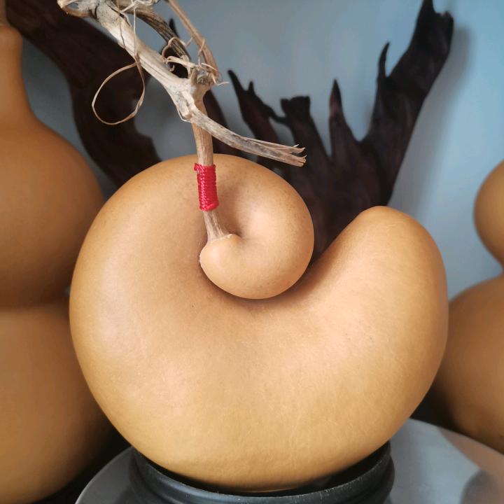 宝葫芦东哥头像